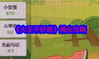 《大王不好啦》攻略——捕虫攻略