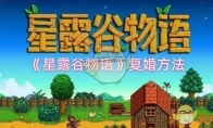 《星露谷物语》攻略——复婚方法