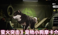 《萤火突击》攻略——宠物小狗摩卡介绍