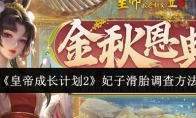 《皇帝成长计划2》攻略——妃子滑胎调查方法