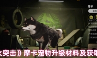 《萤火突击》攻略——摩卡宠物升级材料及获取方式