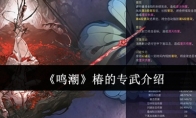 《鸣潮》攻略——椿的专武介绍