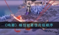 《鸣潮》攻略——椿技能最佳升级顺序