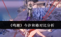 《鸣潮》攻略——今汐和椿对比分析