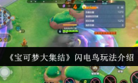 《宝可梦大集结》攻略——闪电鸟玩法介绍