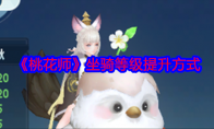 《桃花师》攻略——坐骑等级提升方式
