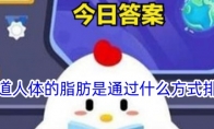 你知道人体的脂肪是通过什么方式排出的