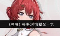 《鸣潮》攻略——椿主C阵容搭配一览