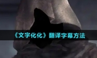 《文字化化》攻略——翻译字幕方法