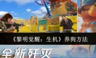 《黎明觉醒：生机》攻略——养狗方法