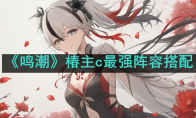 《鸣潮》攻略——椿主c最强阵容搭配