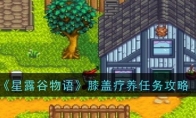 《星露谷物语》攻略——膝盖疗养任务攻略
