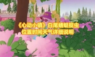 《心动小镇》攻略——白尾蜻蜓捉虫位置时间天气详细说明