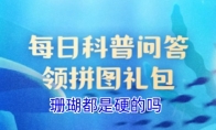 珊瑚都是硬的吗