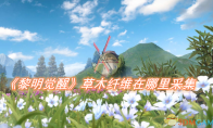 《黎明觉醒》攻略——草木纤维在哪里采集