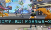 《宝可梦大集结》攻略——背包查看位置一览