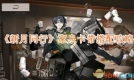 《新月同行》攻略——家泉卡带搭配攻略
