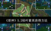 《原神》攻略——5.2枯叶紫英获得方法