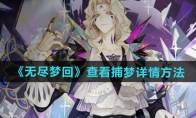 《无尽梦回》攻略——查看捕梦详情方法