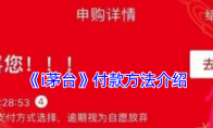 《i茅台》攻略——付款方法介绍