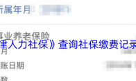 《天津人力社保》攻略——查询社保缴费记录方法
