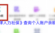 《天津人力社保》攻略——查询个人账户余额方法