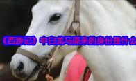 《西游记》攻略——中白龙马原来的身份是什么