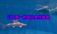 以下哪一种是杂食性鲨鱼