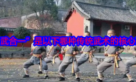 “禅武合一”是以下哪种传统武术的核心理念