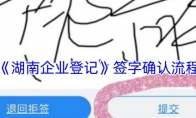 《湖南企业登记》攻略——签字确认流程