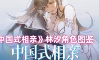 《中国式相亲》攻略——林汐角色图鉴
