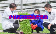 乡村振兴的造血者是谁