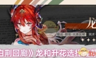《白荆回廊》攻略——龙和升花选择推荐