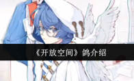 《开放空间》攻略——鸽介绍