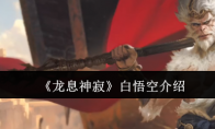 《龙息神寂》攻略——白悟空介绍