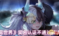 《苍雾世界》攻略——实名认证不通过解决方法