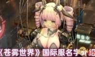 《苍雾世界》攻略——国际服名字介绍
