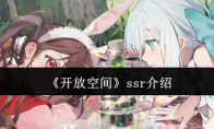 《开放空间》攻略——ssr介绍