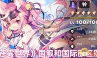 《苍雾世界》攻略——国服和国际服区别