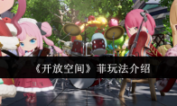 《开放空间》攻略——菲玩法介绍