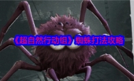 《超自然行动组》攻略——蜘蛛打法攻略