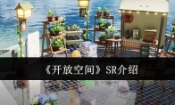 《开放空间》攻略——SR介绍