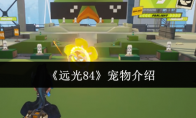 《远光84》攻略——宠物介绍