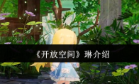 《开放空间》攻略——琳介绍