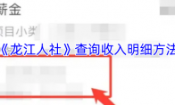 《龙江人社》攻略——查询收入明细方法