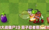 《植物大战僵尸2》攻略——茄子忍者搭配植物推荐