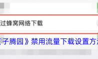 《子腾园》攻略——禁用流量下载设置方法