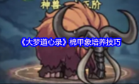 《大梦道心录》攻略——棉甲象培养技巧