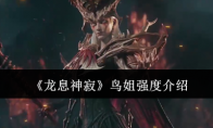 《龙息神寂》攻略——鸟姐强度介绍