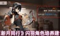 《新月同行》攻略——闪羽角色培养建议